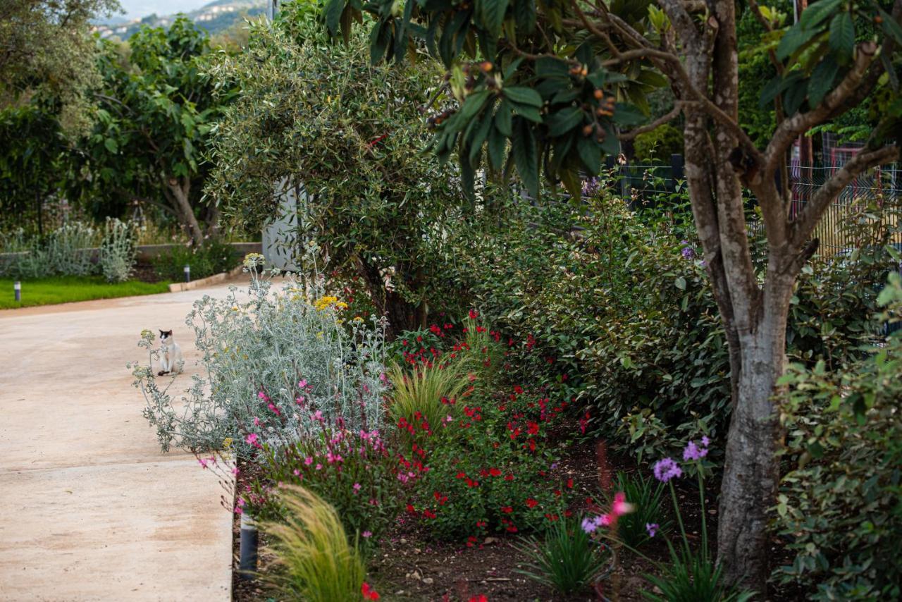 Lefkáda Aerinos Private Villa מראה חיצוני תמונה